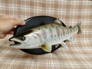 全商品 - fish craft REAL