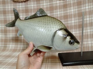 全商品 - fish craft REAL