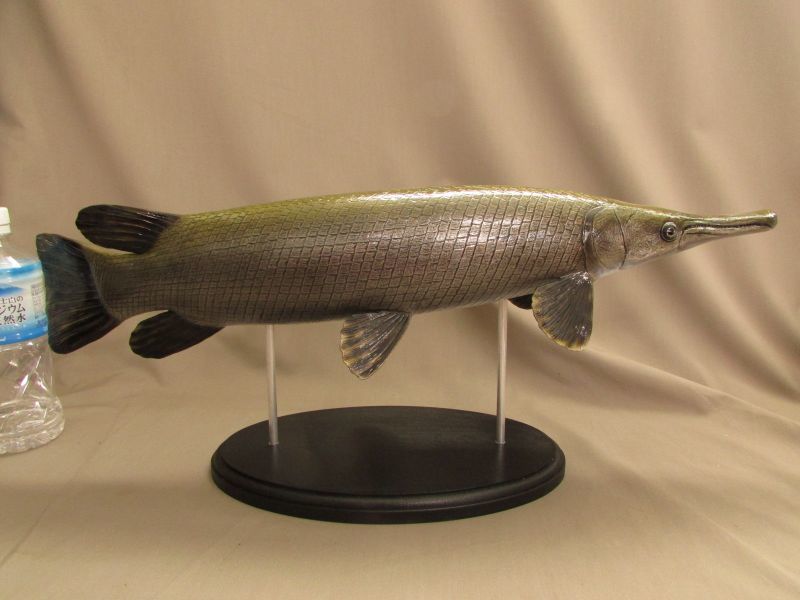 60cmガーパイク マンファリ Fish Craft Real